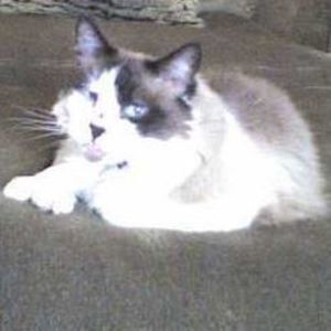 Meet your Posher, Marisa